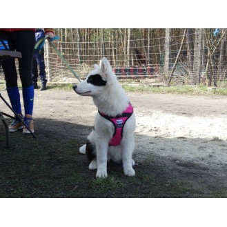 hover image