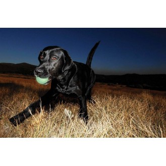 hover image