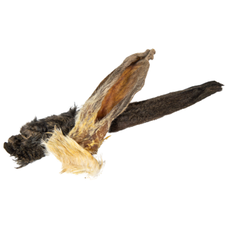 hover image