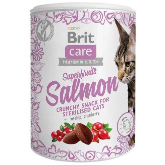 Brit Care Przysmak Superfruits Salmon dla kota op. 100g