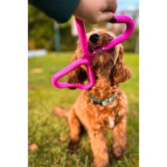 hover image
