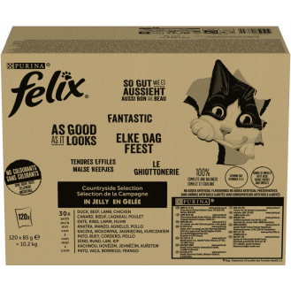 Felix Fantastic Adult Countryside Selection w galaretce Mokra Karma dla kota op. 120x85g + Namiot dla kota GRATIS