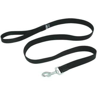 Sali Smycz Bungee Flat dla psa rozm. 25mm/2.5m kolor czarny