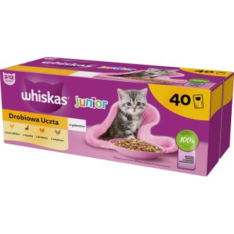 Whiskas Junior Drobiowa Uczta Karma w galaretce dla kociąt 40x85g
