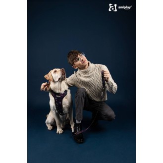 hover image