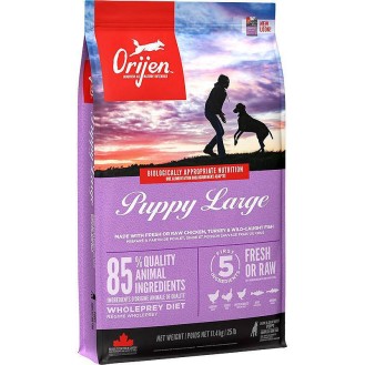 Orijen Puppy Large Sucha Karma dla szczeniaka op. 2x11.4kg MEGA-PAK