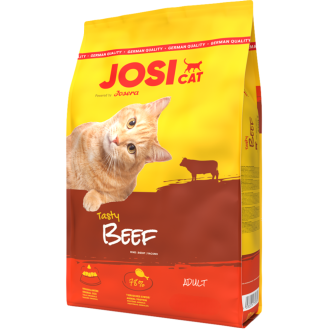 Josera Josicat Adult Tasty Beef Sucha Karma dla kota op. 18kg
