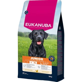 Eukanuba Junior Large&Extra Large Sucha Karma dla szczeniaka op. 15kg