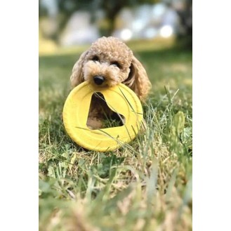 hover image