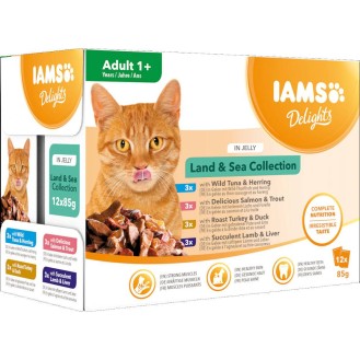 Iams Delights Land&Sea Collection in Jelly Mokra Karma dla kota op. 12x85g WYPRZEDAŻ