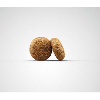 hover image