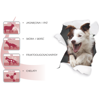 hover image