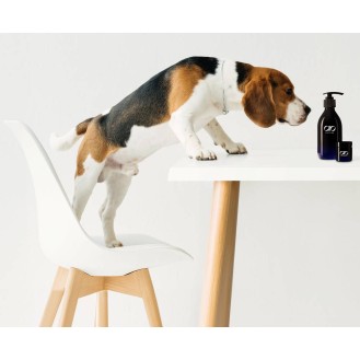 hover image