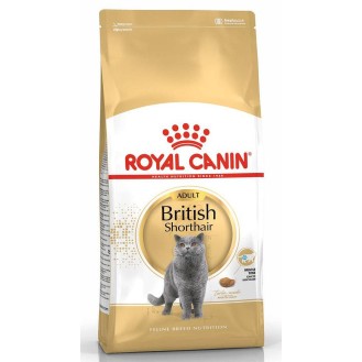 Royal Canin Adult British Shorthair Sucha Karma dla kota op. 4kg