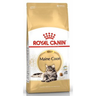 Royal Canin Adult Maine Coon Sucha Karma dla kota op. 2kg
