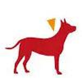 hover image