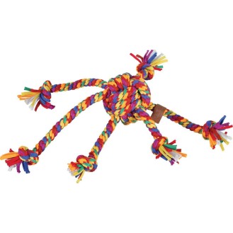 hover image